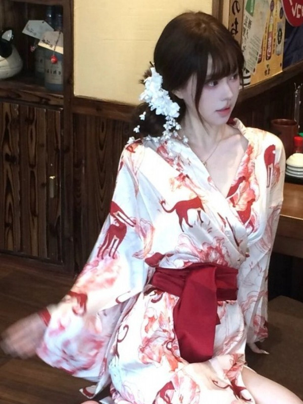 New Chinese Style Sleepwear Ha - Photography Lighting Home review and price