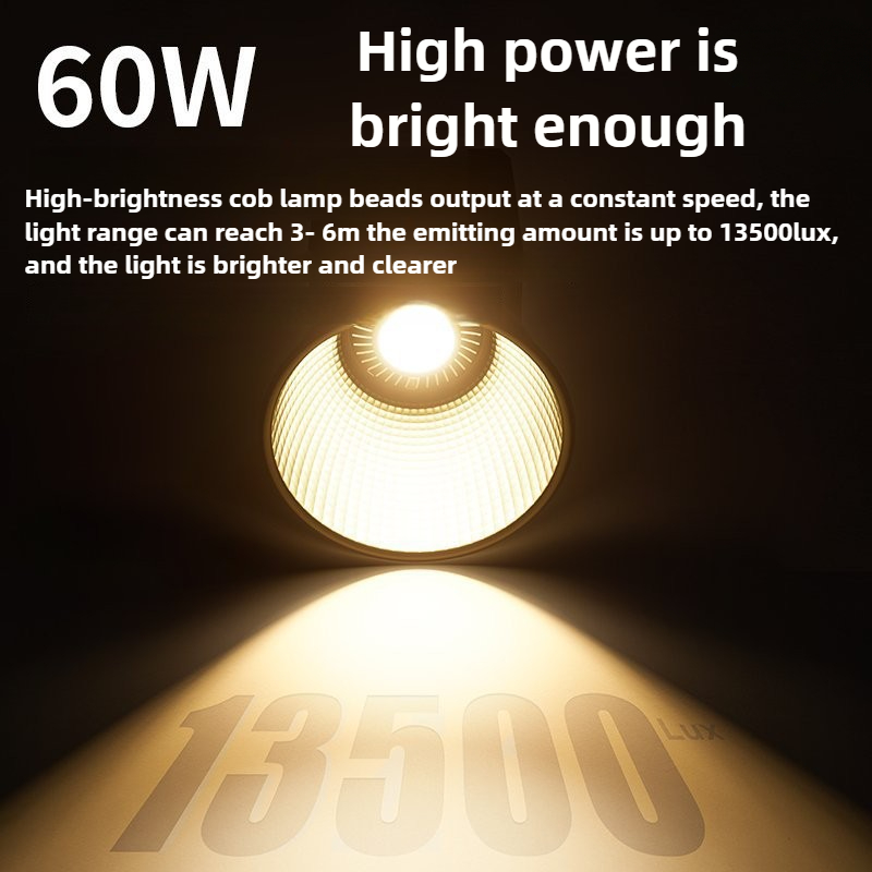 60W Tri-Color Video Light 2700 - Photography Lighting Home review and price