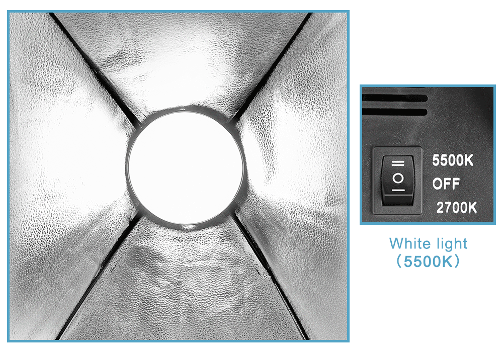 Softbox Light Photography Kit  - Photography Lighting And Background review and price